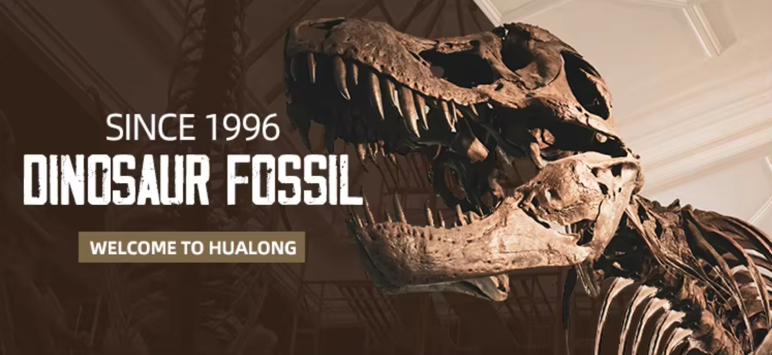 Okostja dinozavrov iz steklenih vlaken, triceratopsa in fosila stegozavra (5)