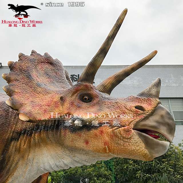 4 Animatronic Triceratops Model Hualong Technology for Theme Park Dinosaur Exhibition