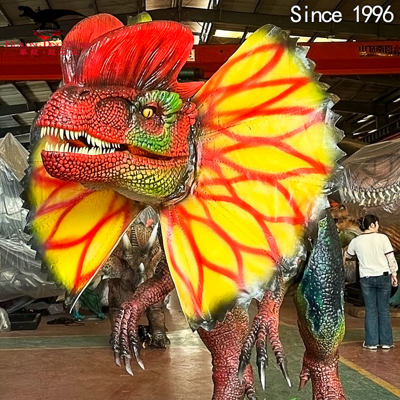 双冠龙长6米 细节图1