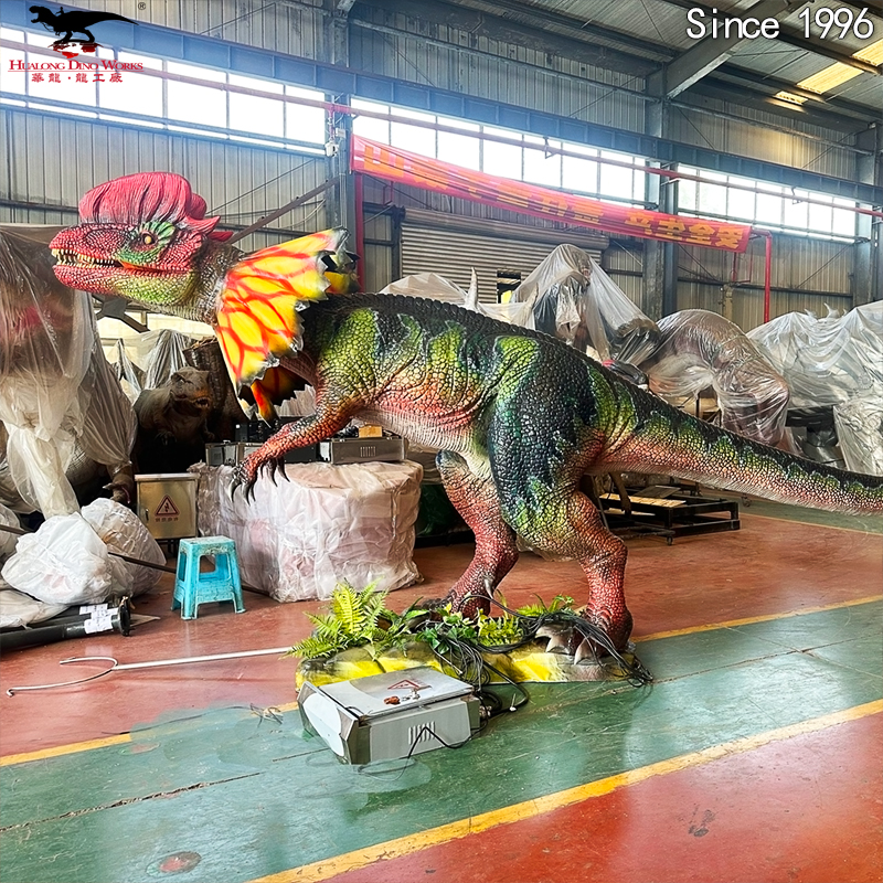 双冠龙长6米 细节图3