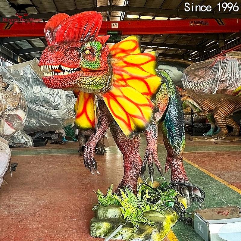 双冠龙长6米 细节图4