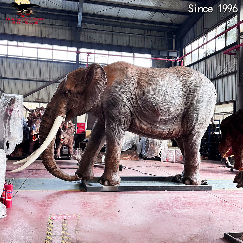 大象高3.2 米 图片 (2)