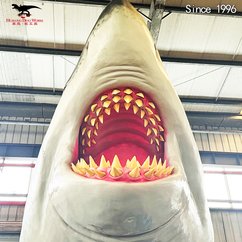 巨齿鲨半身长6米 (4)视频