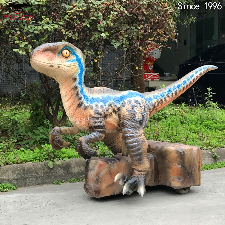 滑行迅猛龙长1 (1)