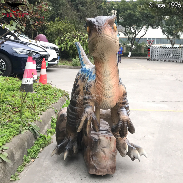 滑行迅猛龙长1 (5)