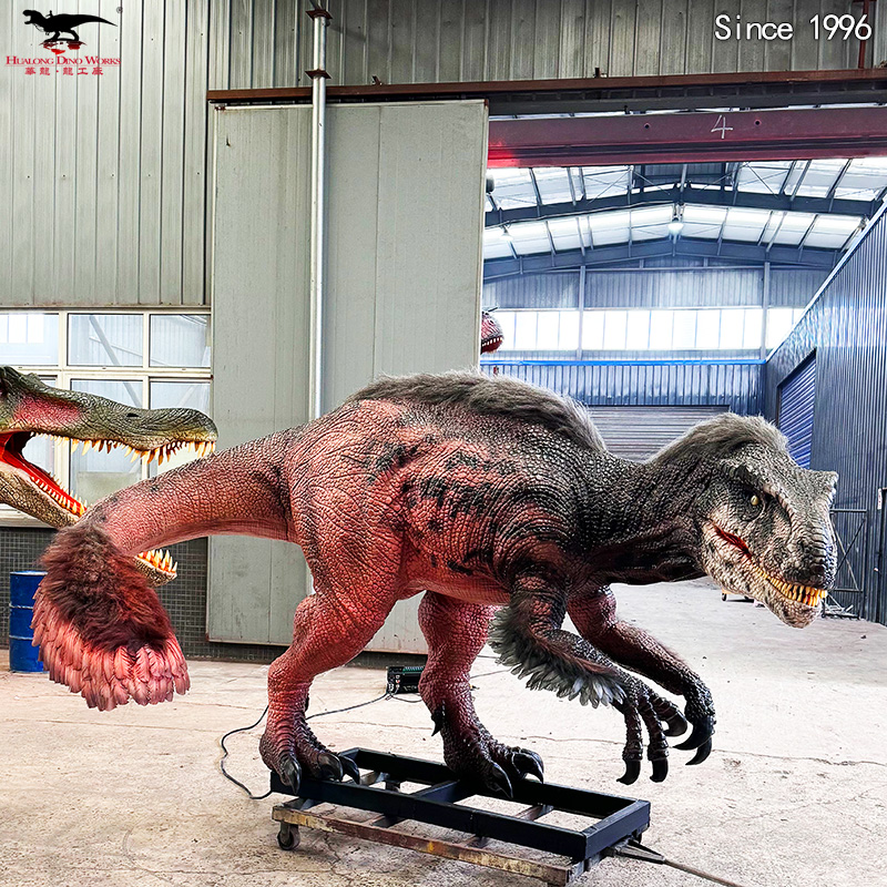 盗龙长3米 高2米 (2)