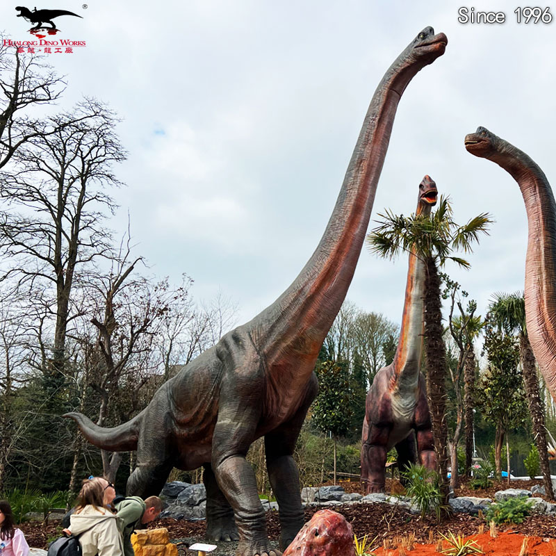 腕龙长7米.10米.15米.22米 (5)