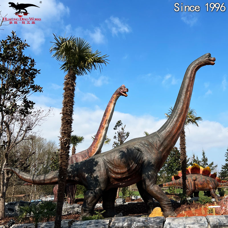 腕龙长7米.10米.15米.22米 (7)