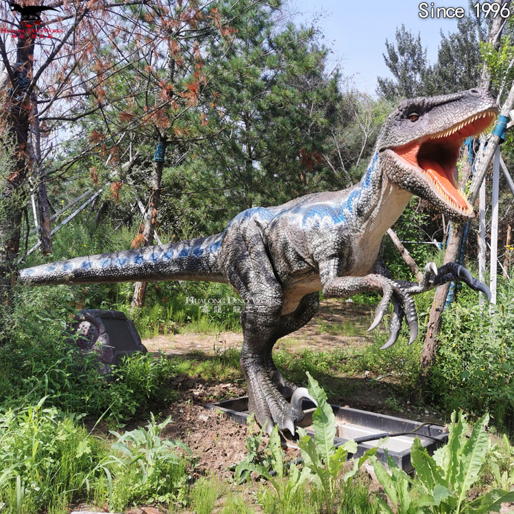 迅猛龙长4米-5米 (4)